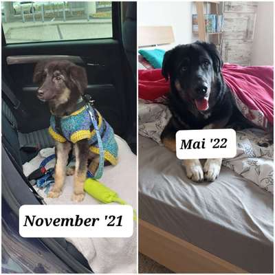 Sie werden so schnell groß!-Beitrag-Bild