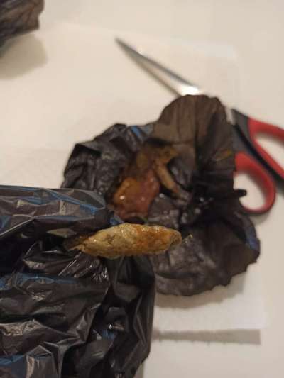 Wer weiß was das sein kann?-Beitrag-Bild