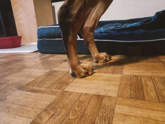 Gangbild/-analyse-Beitrag-Bild