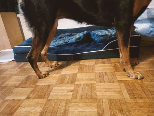 Gangbild/-analyse-Beitrag-Bild