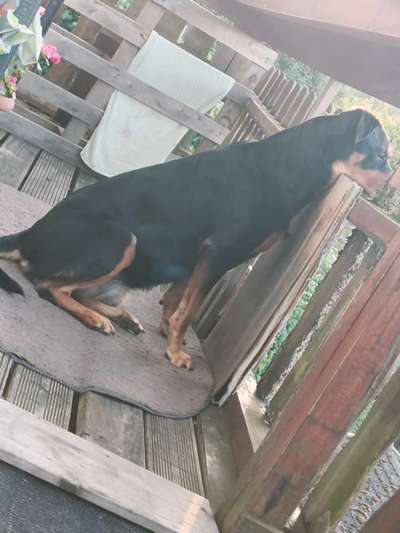 Gangbild/-analyse-Beitrag-Bild