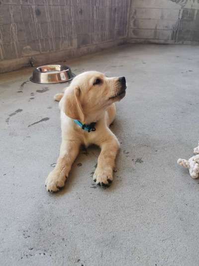 Sie werden so schnell erwachsen ...-Beitrag-Bild