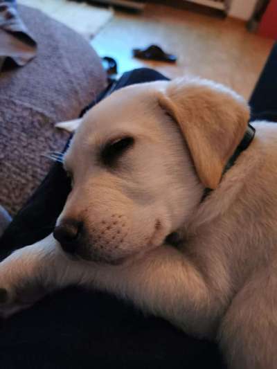 Sie werden so schnell erwachsen ...-Beitrag-Bild