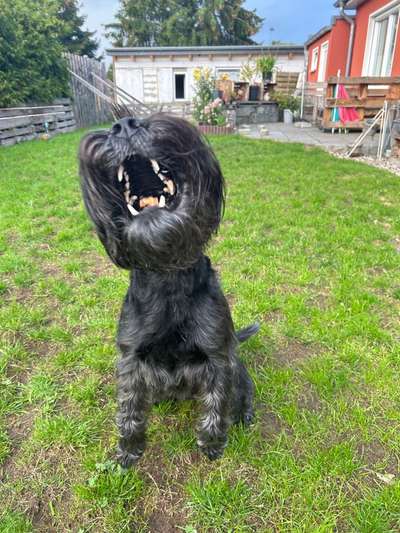 146. Foto Challenge: Maulaufreisser-Beitrag-Bild