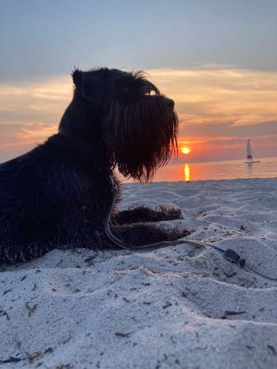 18. Farben Fotochallenge: Sonnenuntergang-Beitrag-Bild