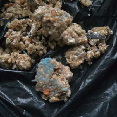 Giftköder-VORSICHT!!! GIFTKÖDER!-Bild