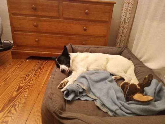 Verrückte Schlafpositionen-Beitrag-Bild