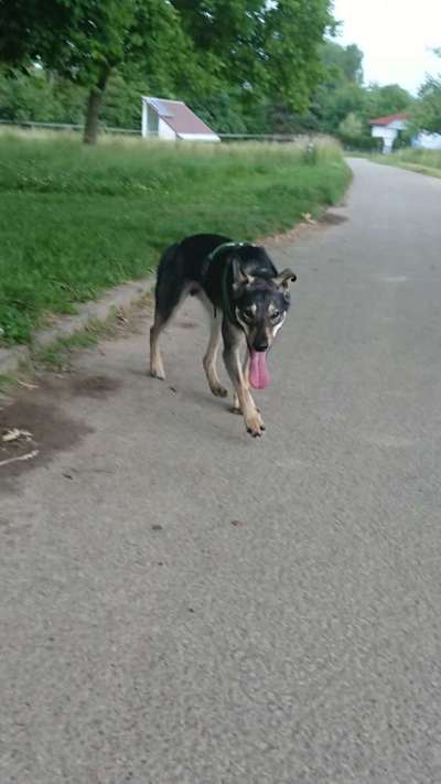 Handyfoto challenge Nr. 13: Waschlappen raus!-Beitrag-Bild