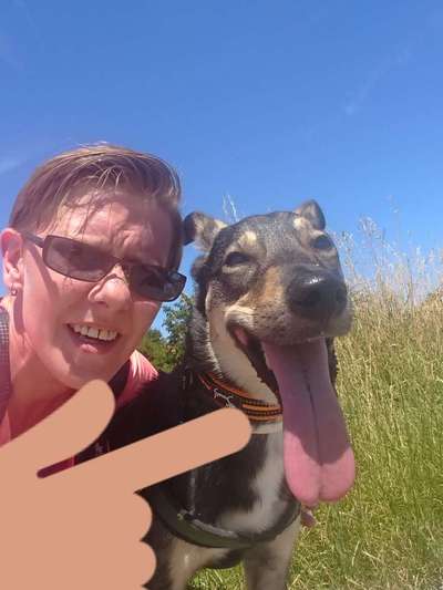 Tongue Out Tuesday-Beitrag-Bild