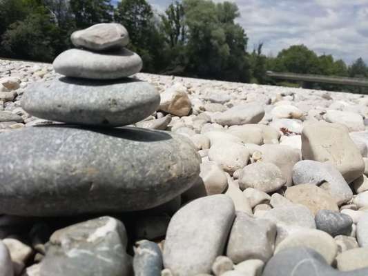 Kajakfahren mit Hund-Beitrag-Bild