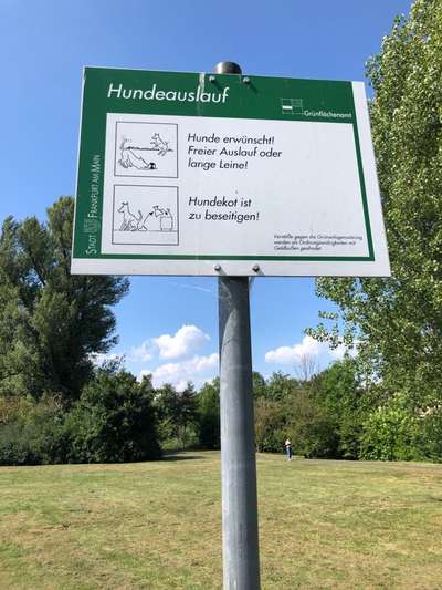 Hundeauslaufgebiet-Wörthspitze-Bild