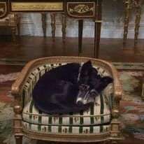 Photoshop und Co.-Beitrag-Bild