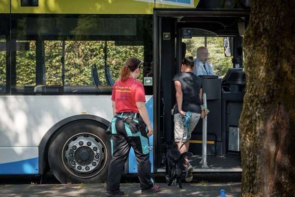 Giftköder-Bustraining-Bild