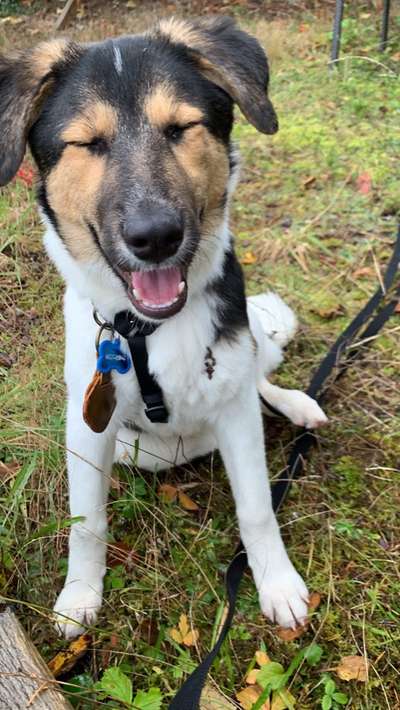 Fotochallange Nr. 57     PORTRÄT.   Beendet!!!!!!!!-Beitrag-Bild