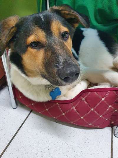 Lieblingsbild-Beitrag-Bild