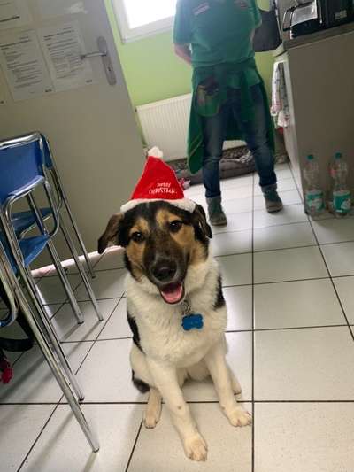 Zeigt her...-Beitrag-Bild