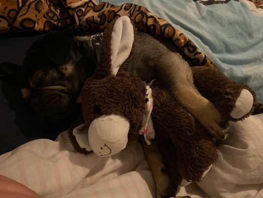 Die unbequemsten und lustigsten Schlafpositionen-Beitrag-Bild