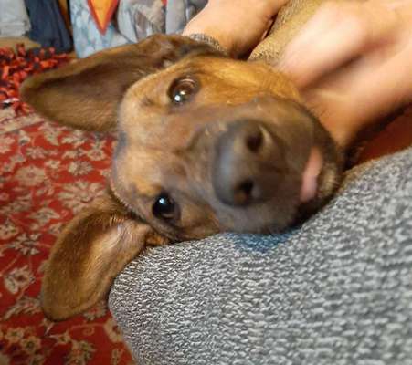 Fotochallange Nr. 57     PORTRÄT.   Beendet!!!!!!!!-Beitrag-Bild