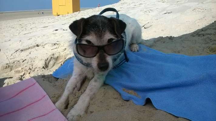 Fotochallenge Nr. 56 - geliebte Senioren-Beitrag-Bild