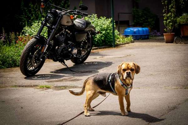 56. Handy Foto Challenge - Grosse Maschinen-Beitrag-Bild