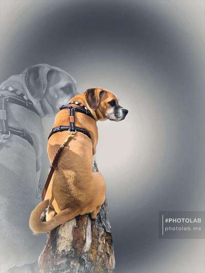 Photoshop und Co.-Beitrag-Bild