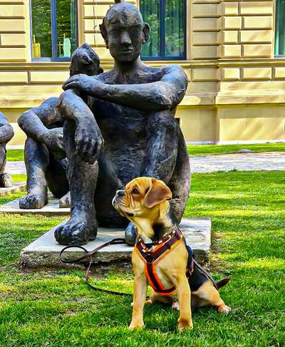 Lieblingsbild :D-Beitrag-Bild