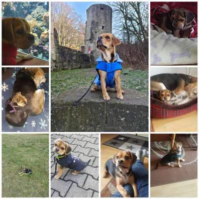 Vorher.... Nachher-Beitrag-Bild