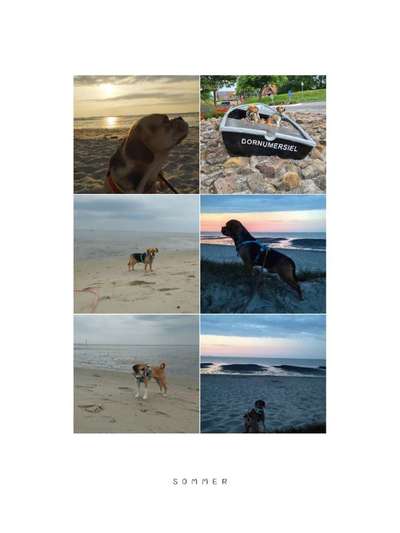 45. Collage Challenge - Lieblingsurlaubs/ Ausflugsziele-Beitrag-Bild