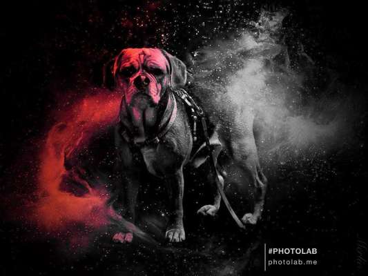 Photoshop und Co.-Beitrag-Bild