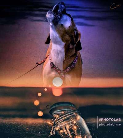 Photoshop und Co.-Beitrag-Bild