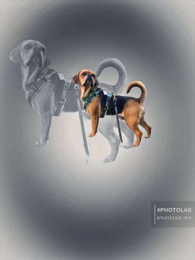 Photoshop und Co.-Beitrag-Bild