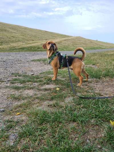 Wie hoch ist das Lebensalter-Beitrag-Bild