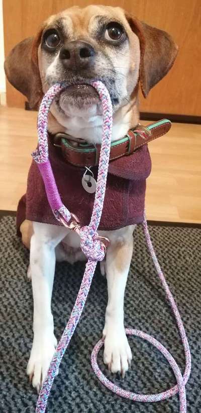 Trick Challenge 13 - Etwas Halten-Beitrag-Bild