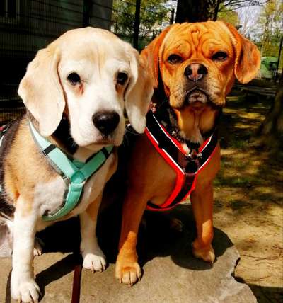 Lieblingsbild :D-Beitrag-Bild