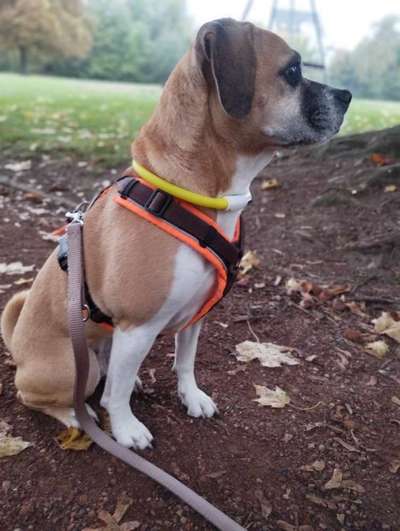 Wie hoch ist das Lebensalter-Beitrag-Bild