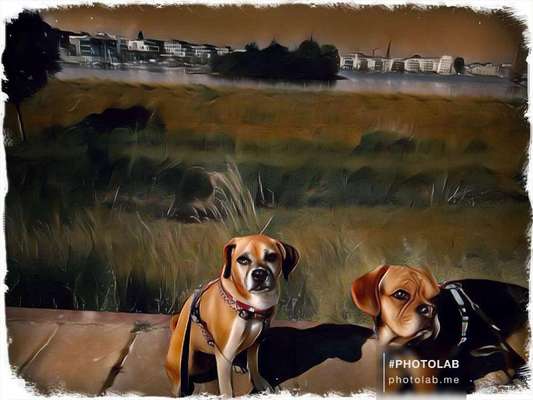 Photoshop und Co.-Beitrag-Bild