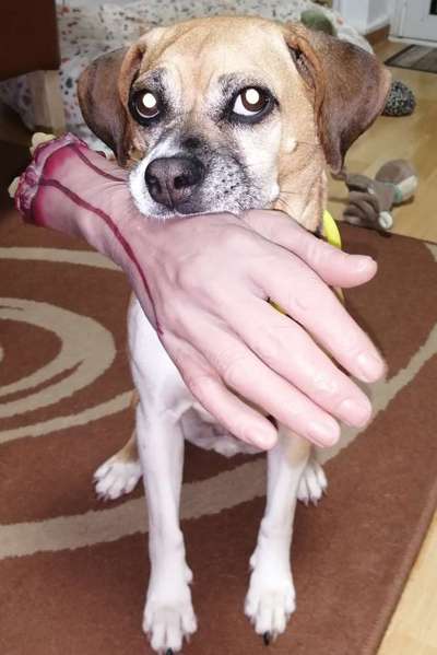 Fotochallenge Nr. 64-Beitrag-Bild