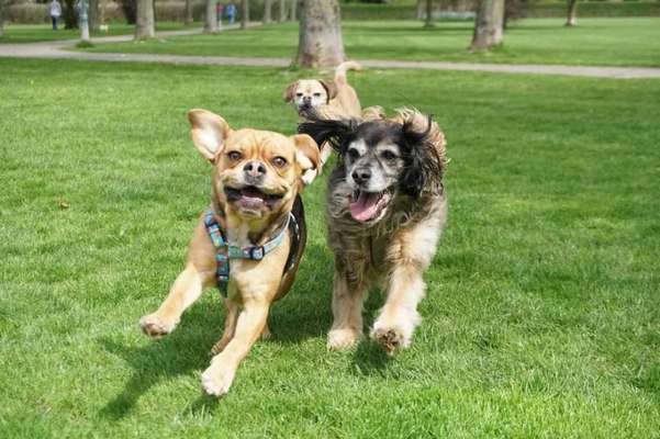 Fotochallenge Nr.122-Beitrag-Bild