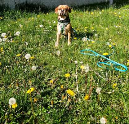 Lieblingsbild :D-Beitrag-Bild