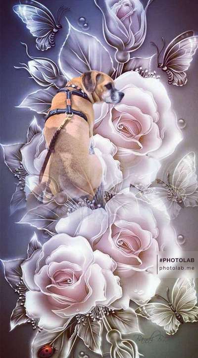 Photoshop und Co.-Beitrag-Bild