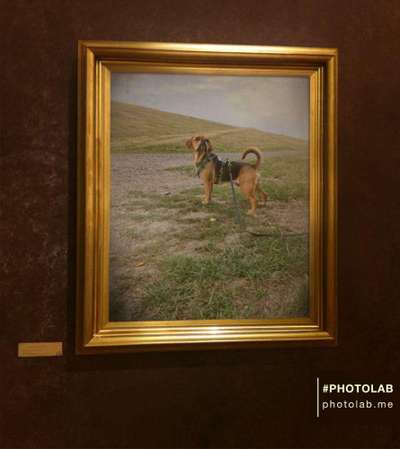 Photoshop und Co.-Beitrag-Bild