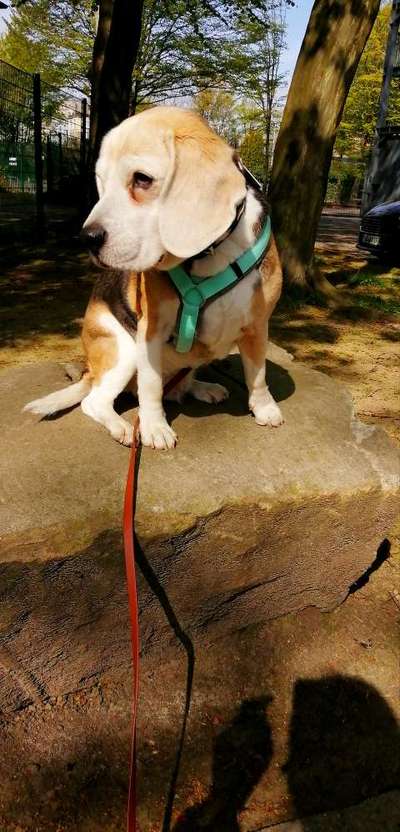 Lieblingsbild :D-Beitrag-Bild