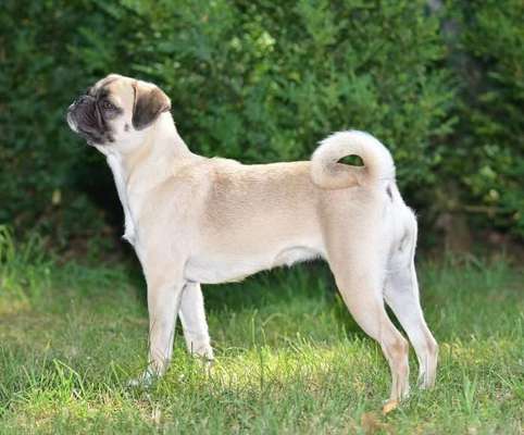 Wie hoch ist das Lebensalter-Beitrag-Bild