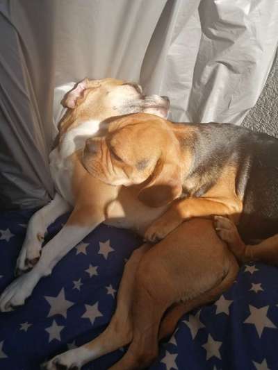 Foto Challenge Nr.: 115-Beitrag-Bild