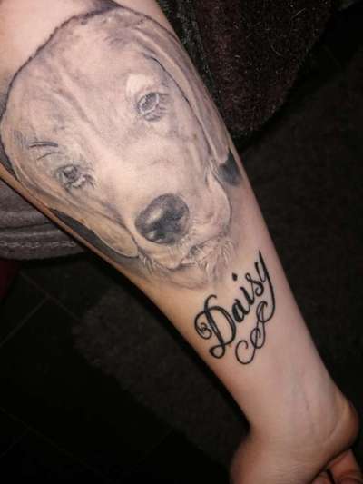 Neues Tattoo und Hundehaare-Beitrag-Bild