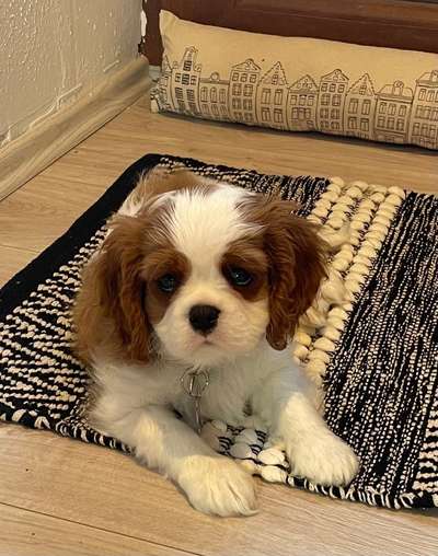 Lieblingsbild-Beitrag-Bild