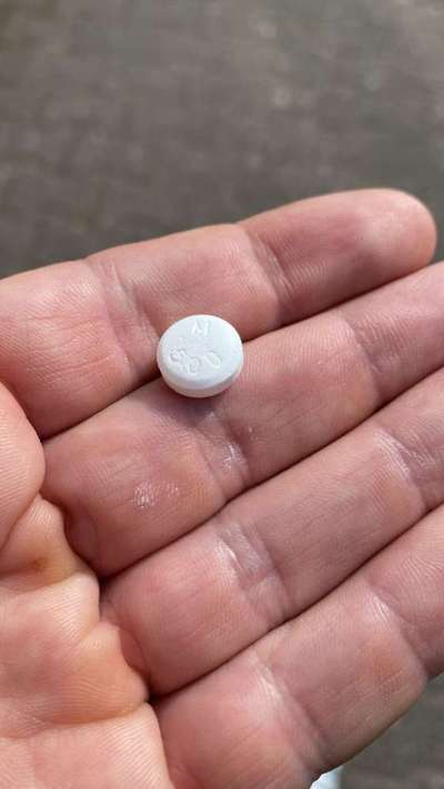 Giftköder-Tabletten gefunden-Bild