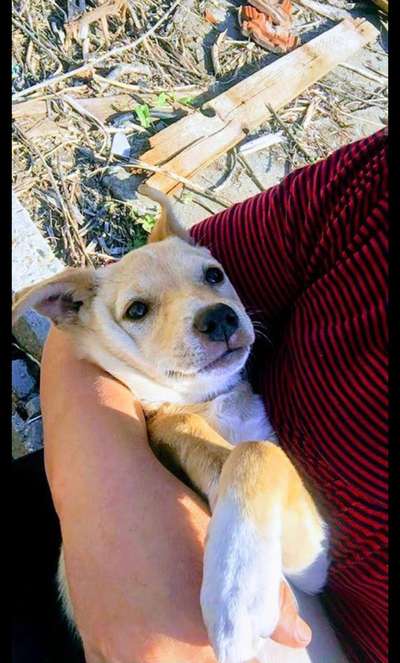 Sie werden so schnell erwachsen ...-Beitrag-Bild