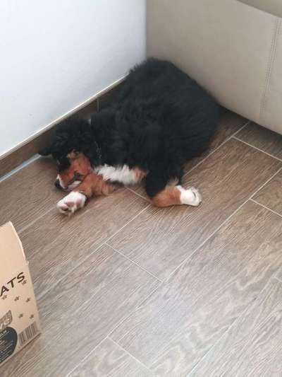 Die unbequemsten und lustigsten Schlafpositionen-Beitrag-Bild