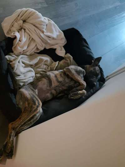 FOTO-Challenge  NR. 91: Die pure Entspannung-Beitrag-Bild